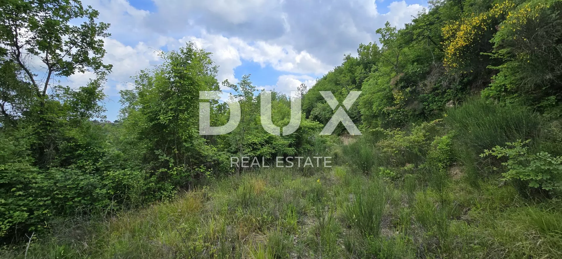 Land In Gračišće, Croatia (1.946 M²)