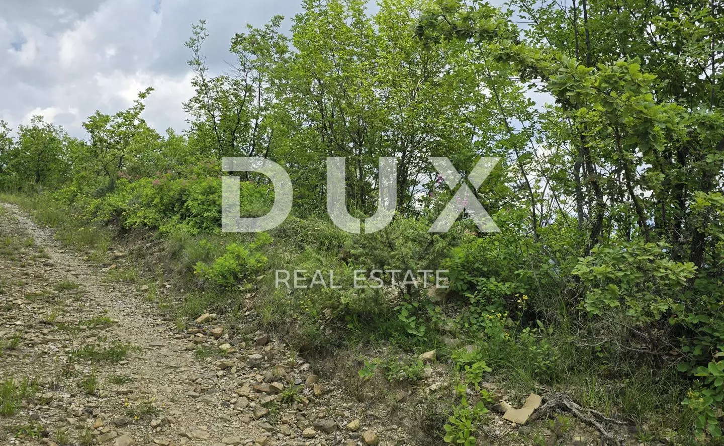 Land In Gračišće, Croatia (1.946 M²)