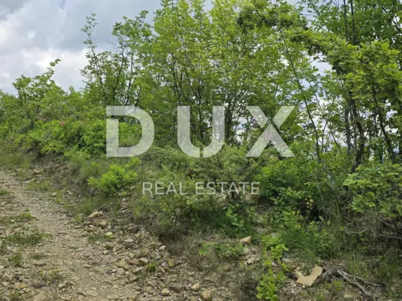 Land In Gračišće, Croatia (1.946 M²)