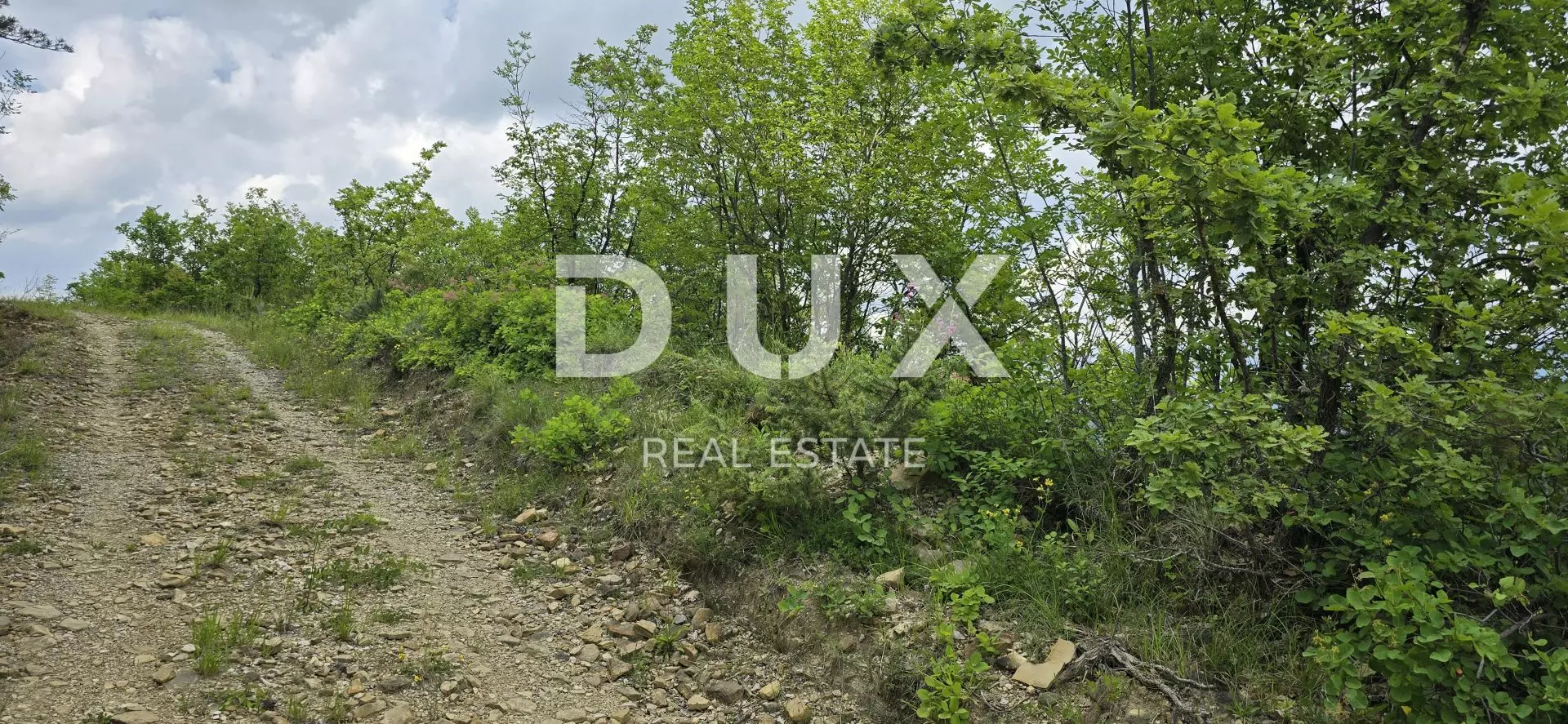 Land In Gračišće, Croatia (1.946 M²)