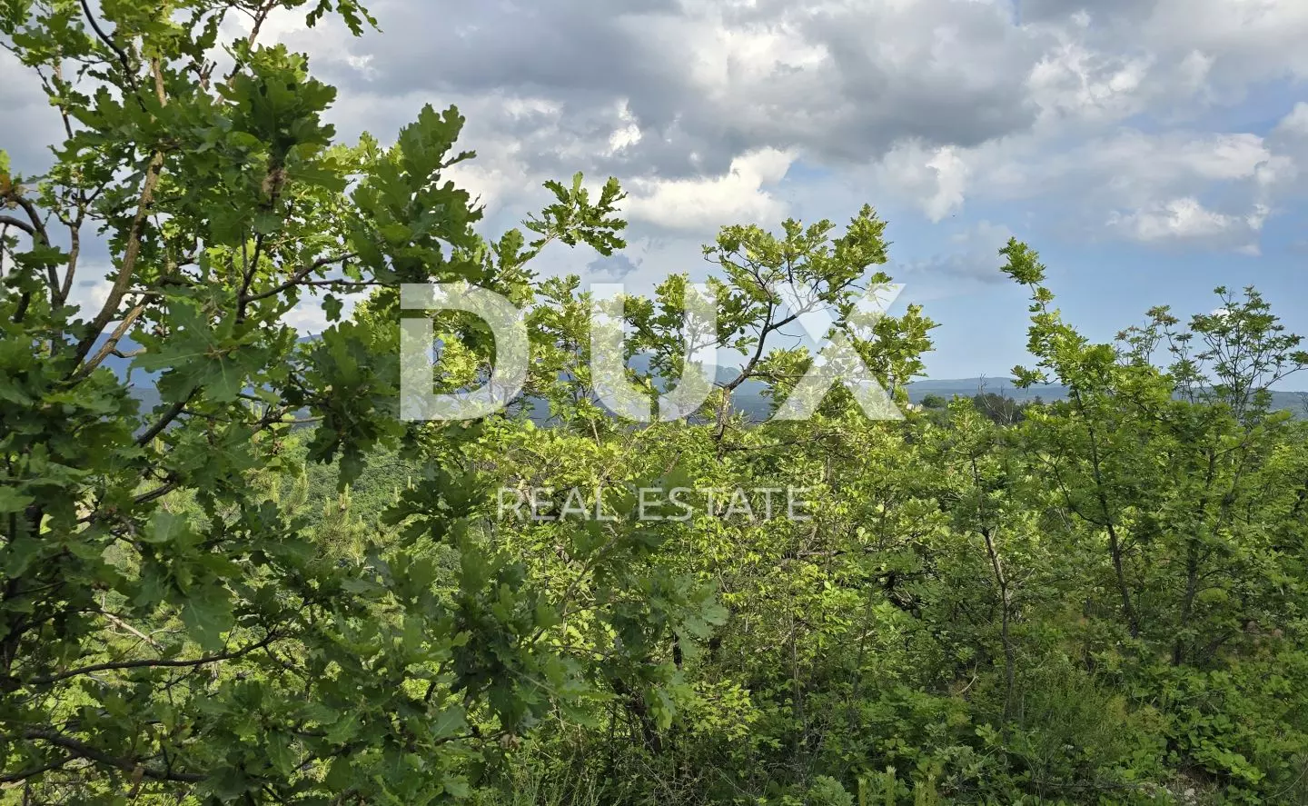 Land In Gračišće, Croatia (1.946 M²)