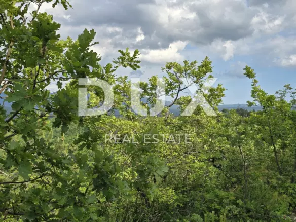 Land In Gračišće, Croatia (1.946 M²)