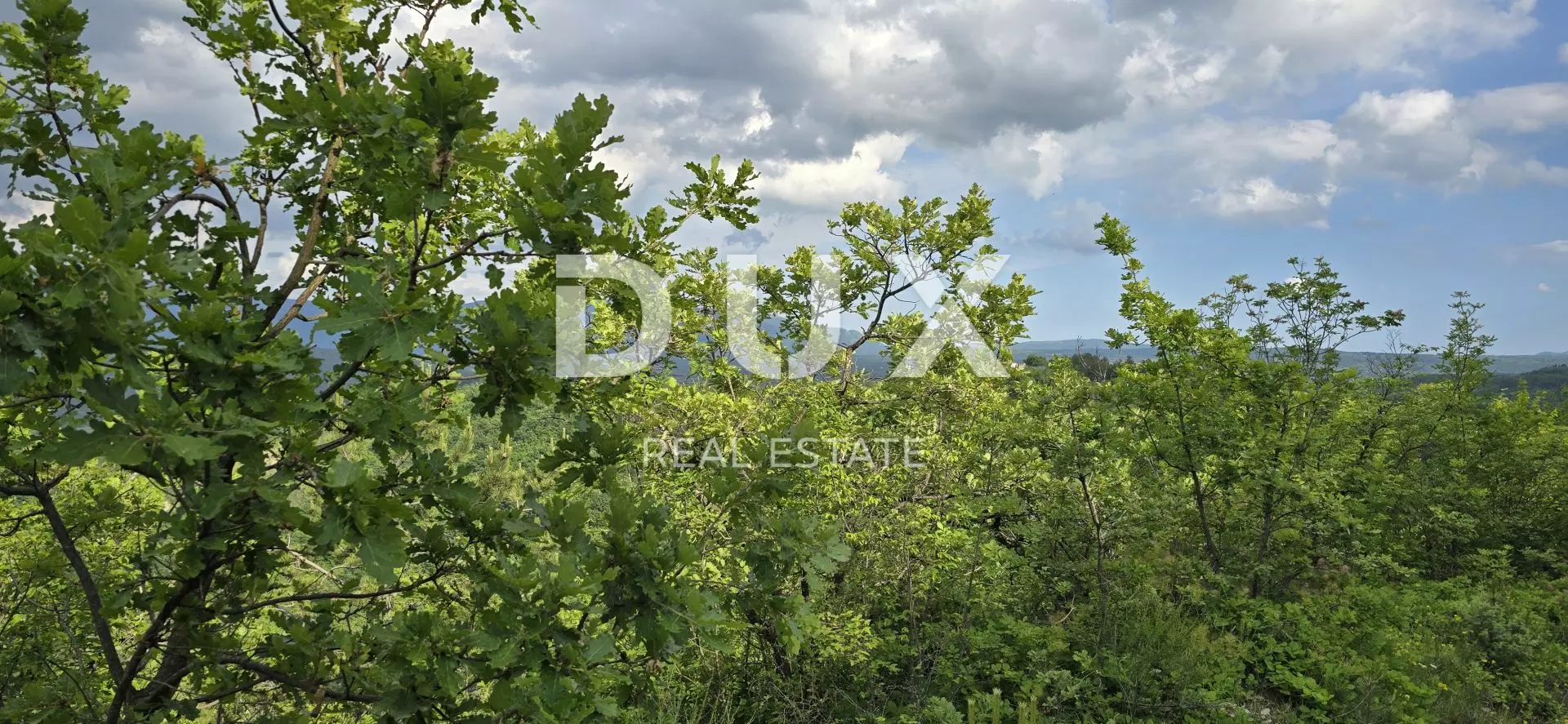 Land In Gračišće, Croatia (1.946 M²)