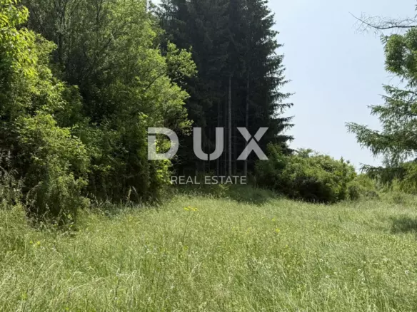 Land In Lanišće, Croatia (746 M²)