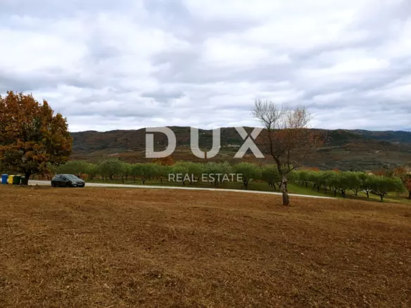Land In Vižinada, Croatia (4.203 M²)