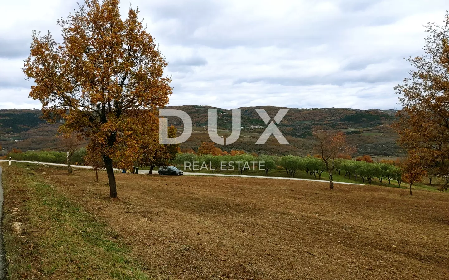 Land In Vižinada, Croatia (4.203 M²)