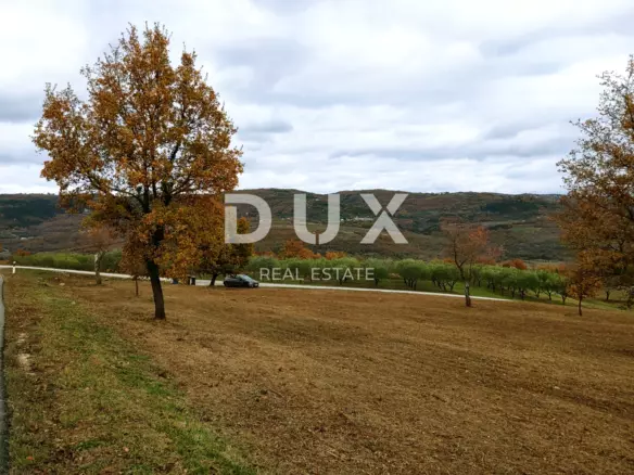 Land In Vižinada, Croatia (4.203 M²)