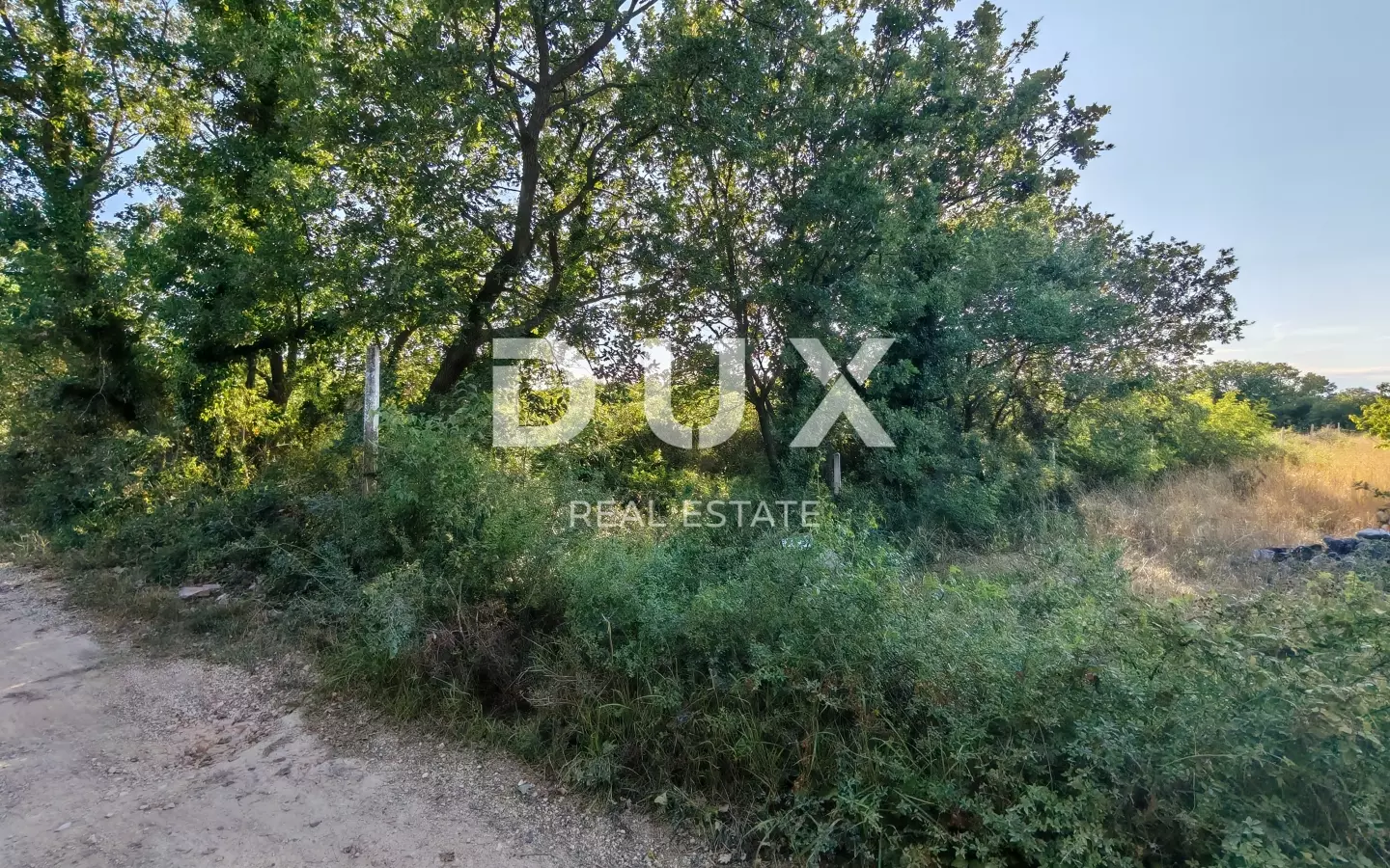 Land In Petrići, Croatia (726 M²)