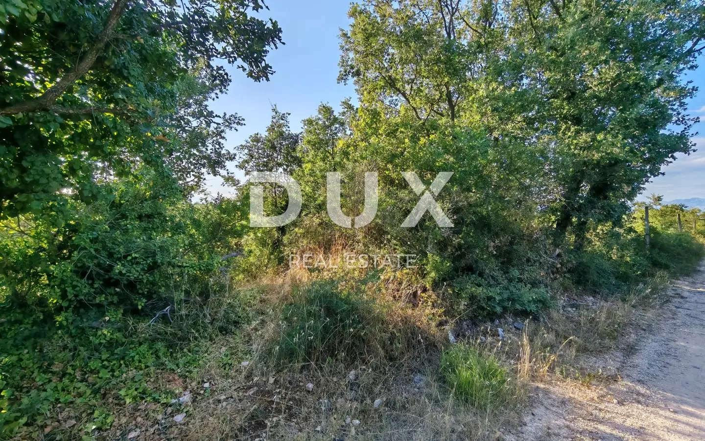 Land In Petrići, Croatia (726 M²)