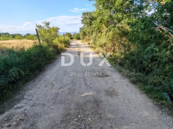 Land In Petrići, Croatia (726 M²)