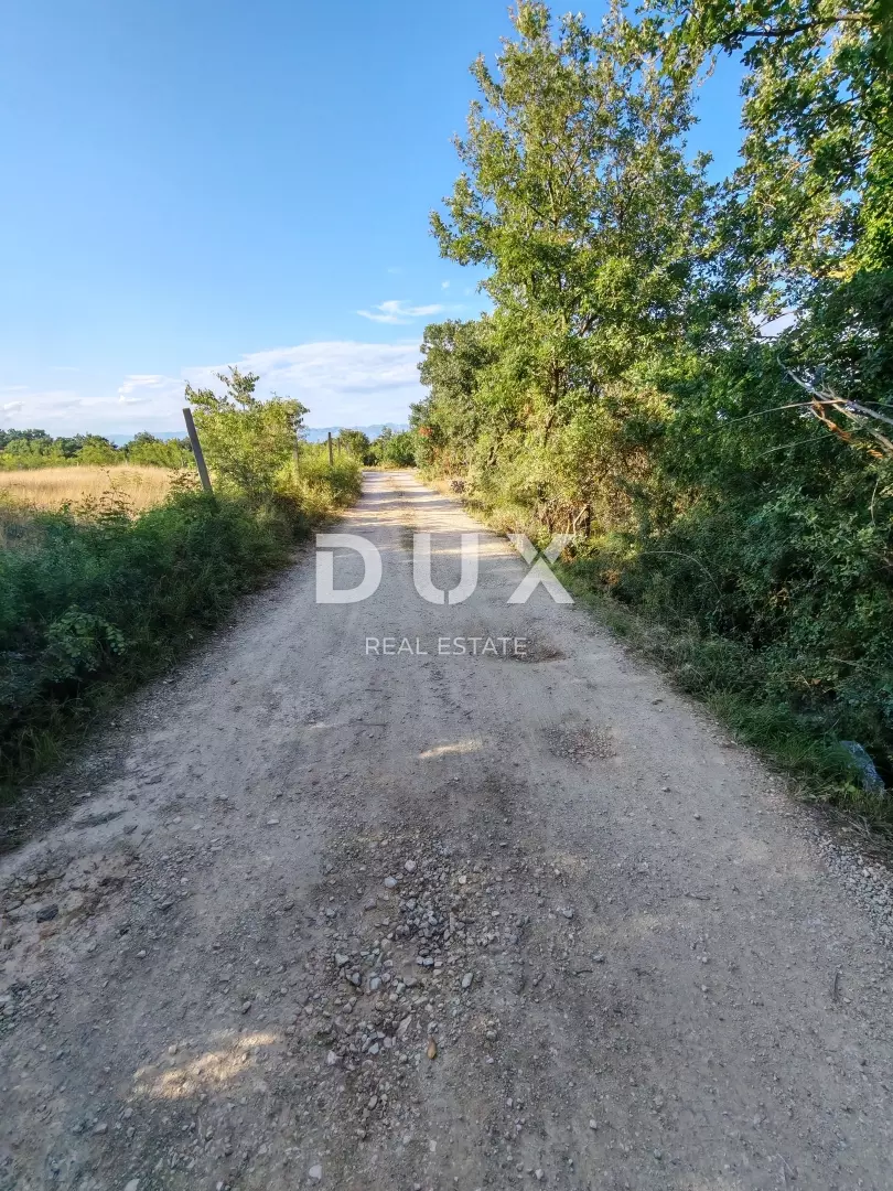 1753025818_img_20250711_184245-561ad7 Land In Petrići, Croatia (726 M²)