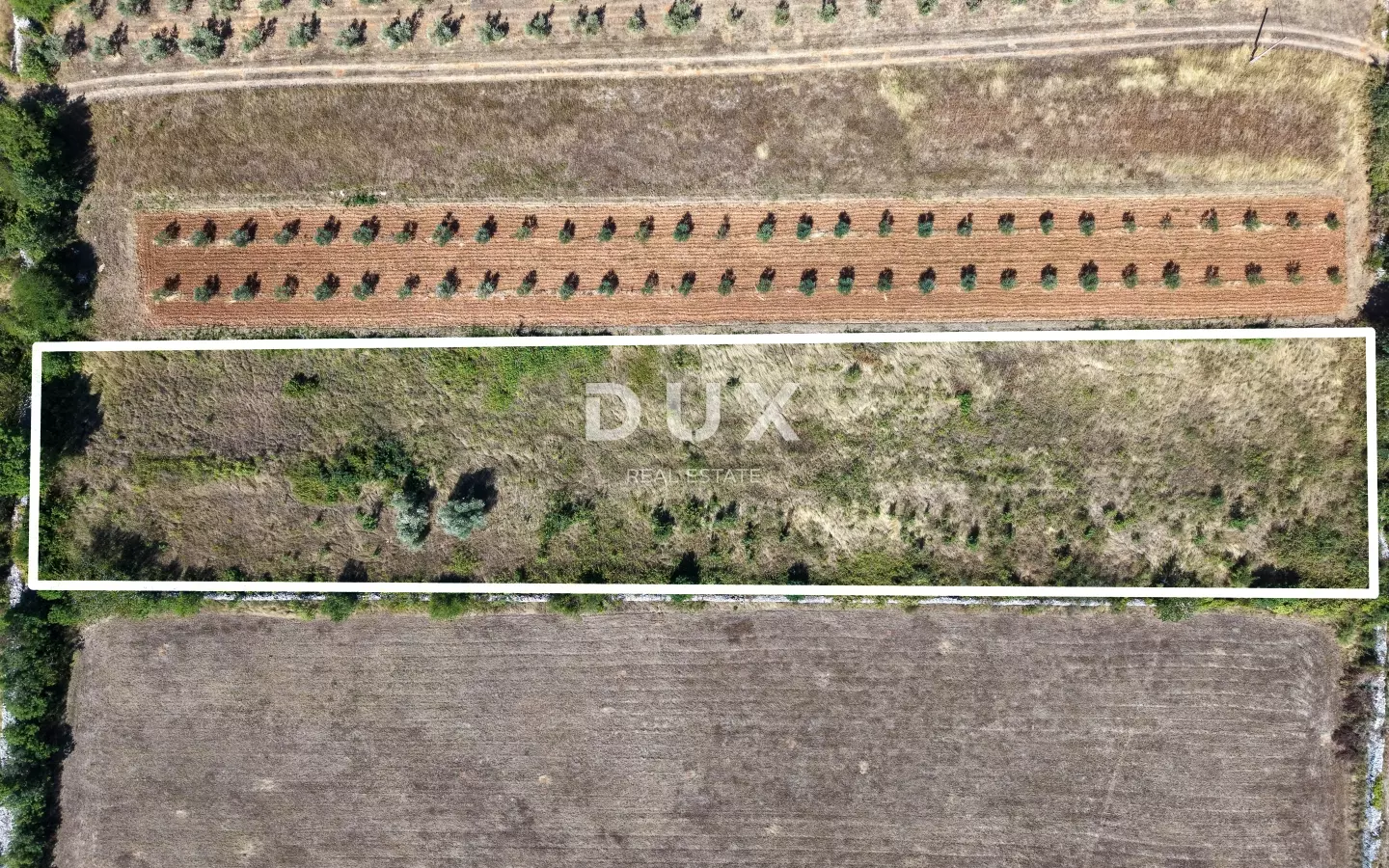 Land In Vodnjan, Croatia (2.961 M²)