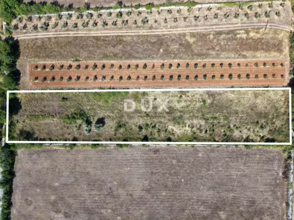 Land In Vodnjan, Croatia (2.961 M²)