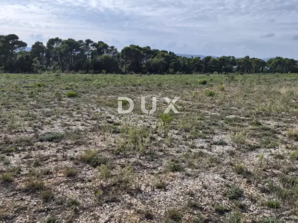 Land In Biograd Na Moru, Croatia (31.354 M²)
