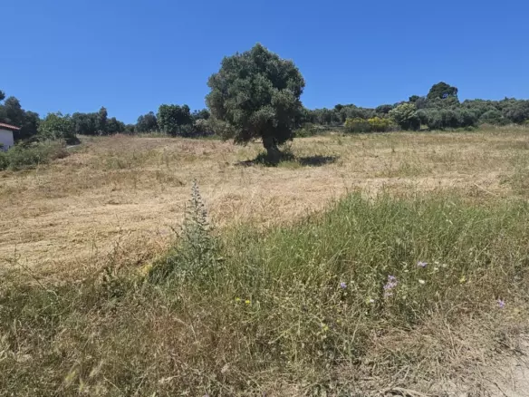 Land In Kassandra, Greece