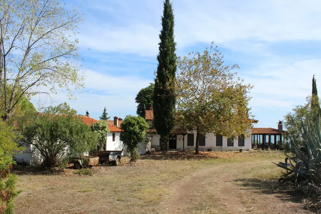 Land In Litochoro, Greece
