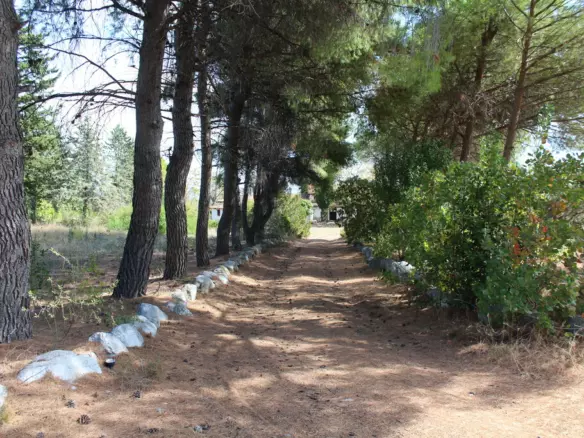 Land In Litochoro, Greece