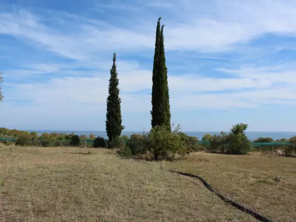 Land In Litochoro, Greece