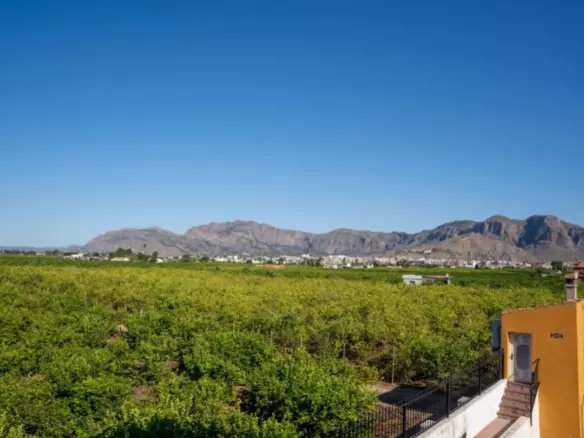 5-bedroom Villa In Orihuela, Spain (433 M²)