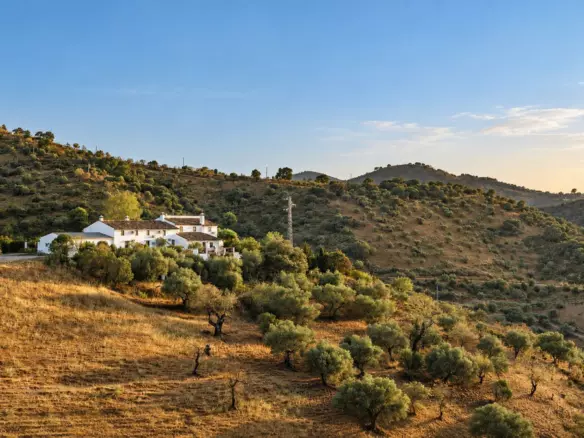 8-bedroom Country House In Casabermeja, Spain (440 M²)