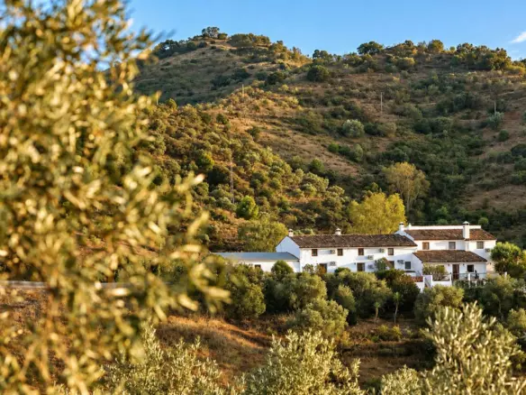 8-bedroom Country House In Casabermeja, Spain (440 M²)