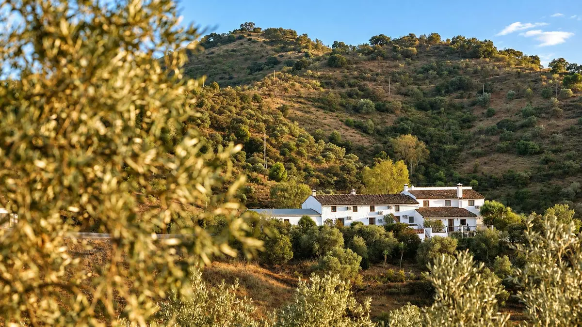 8-bedroom Country House In Casabermeja, Spain (440 M²)