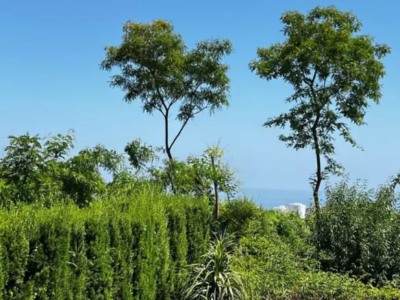 3-bedroom Apartment In Torremolinos, Spain (140 M²)