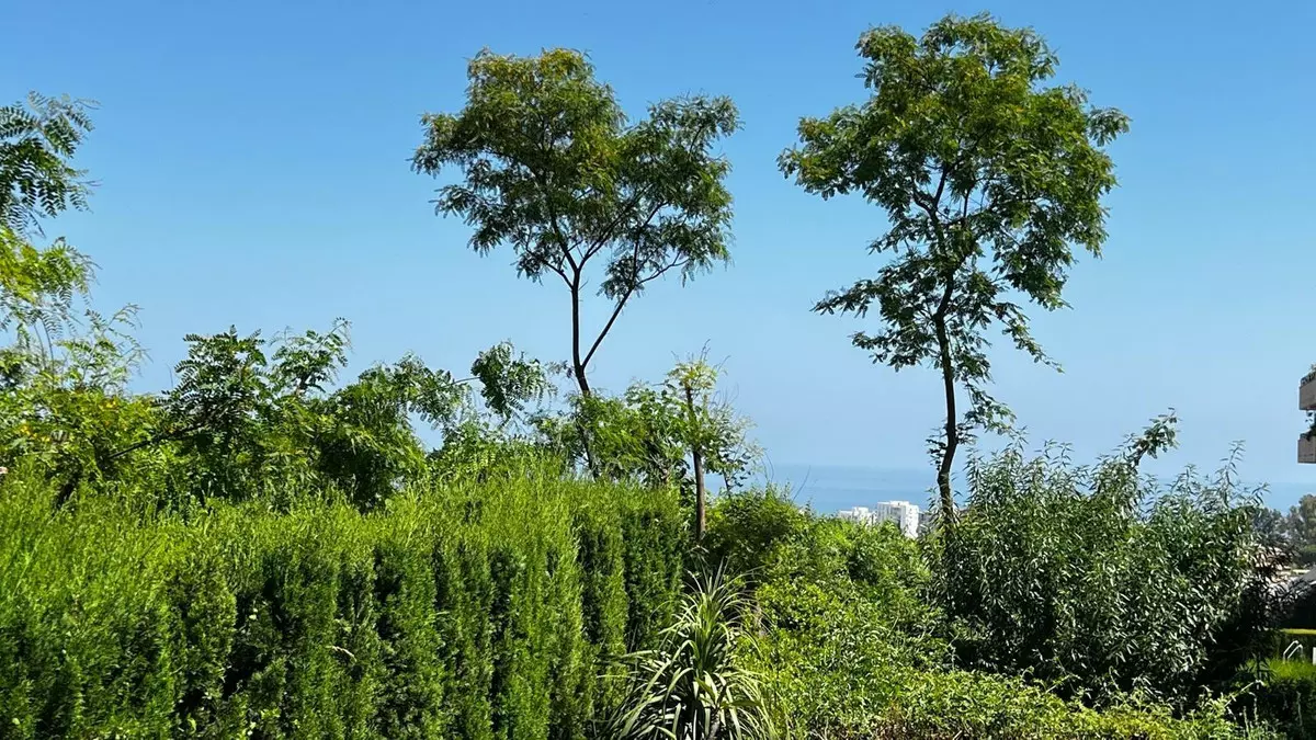 3-bedroom Apartment In Torremolinos, Spain (140 M²)