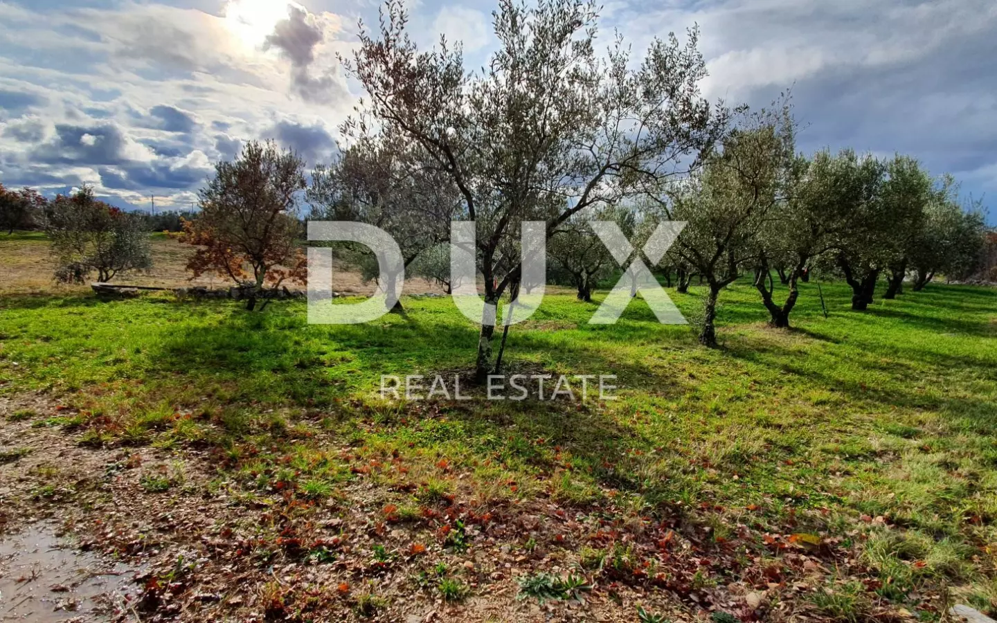 Land In Buje, Croatia (1.423 M²)