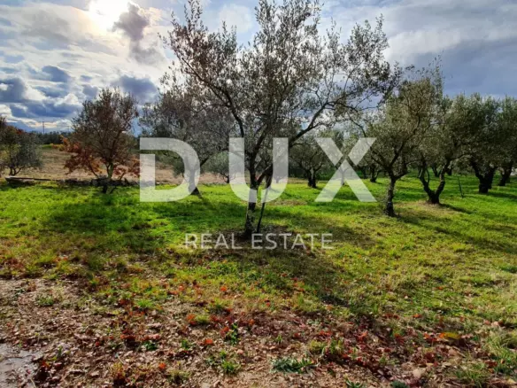Land In Buje, Croatia (1.423 M²)