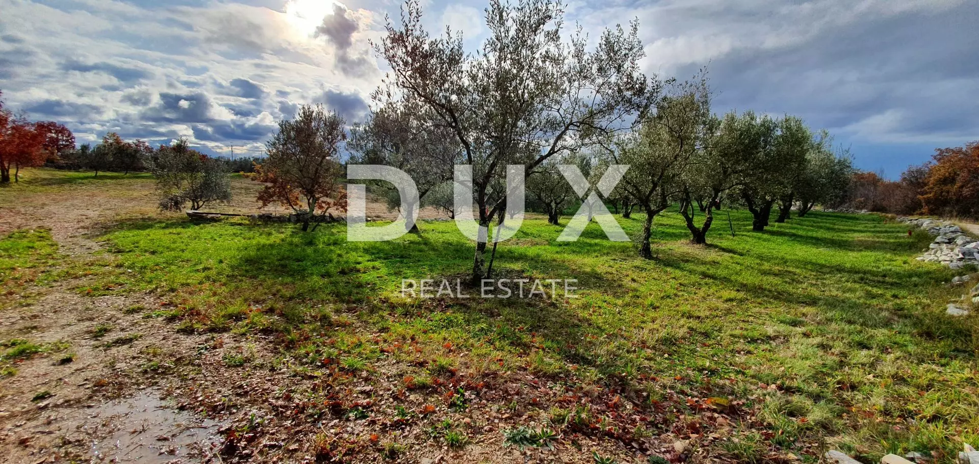 Land In Buje, Croatia (1.423 M²)