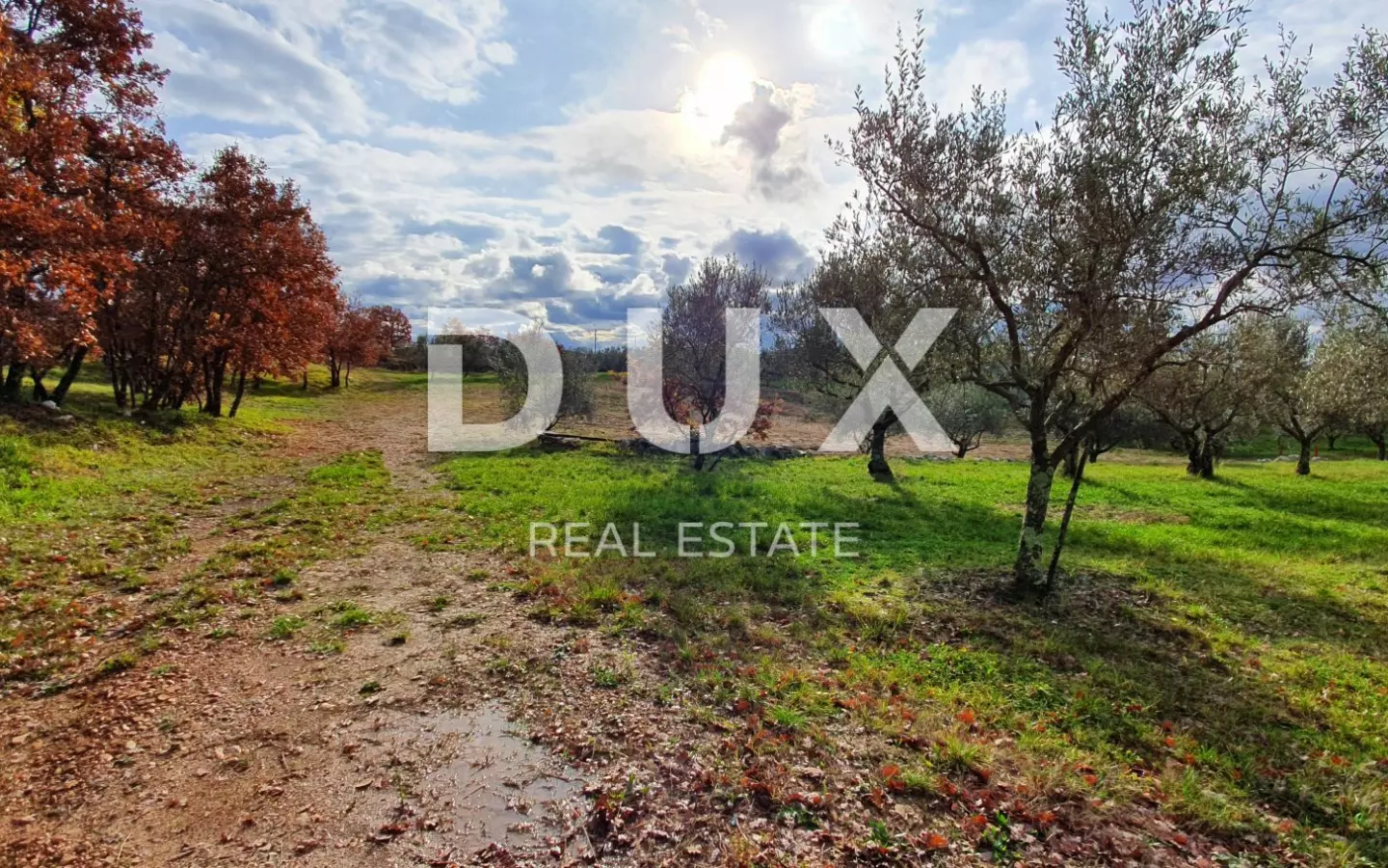 Land In Buje, Croatia (1.423 M²)