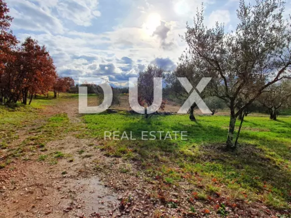 Land In Buje, Croatia (1.423 M²)