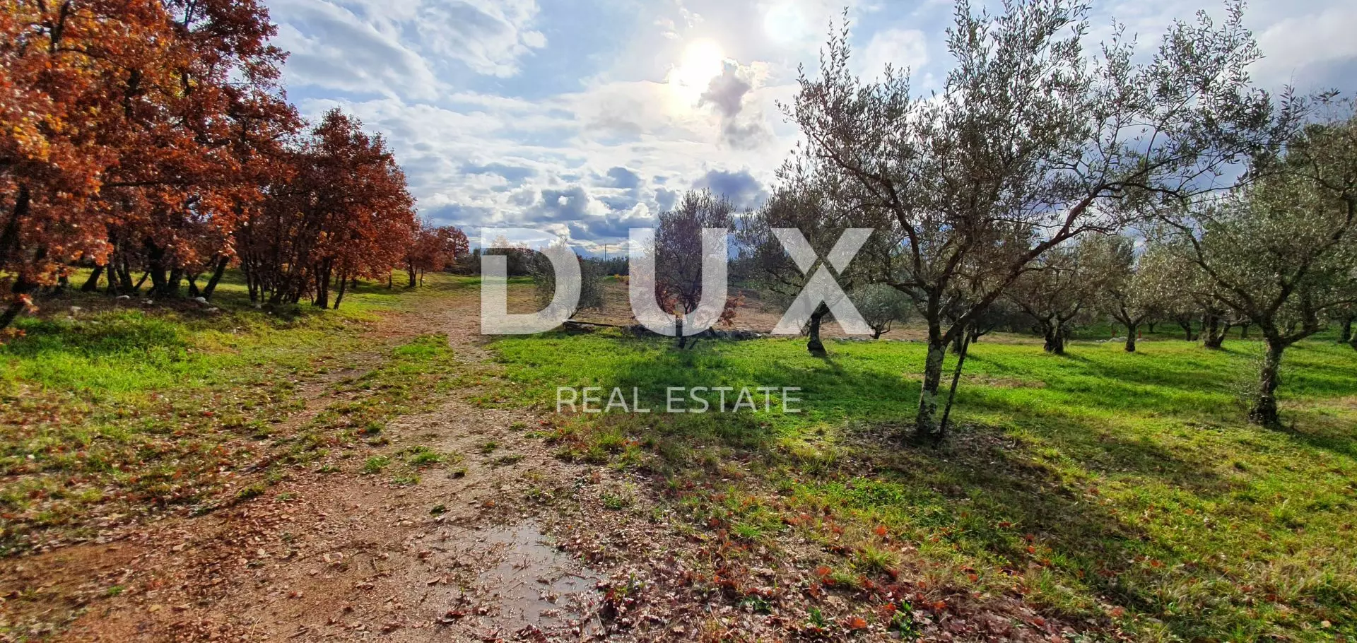 Land In Buje, Croatia (1.423 M²)