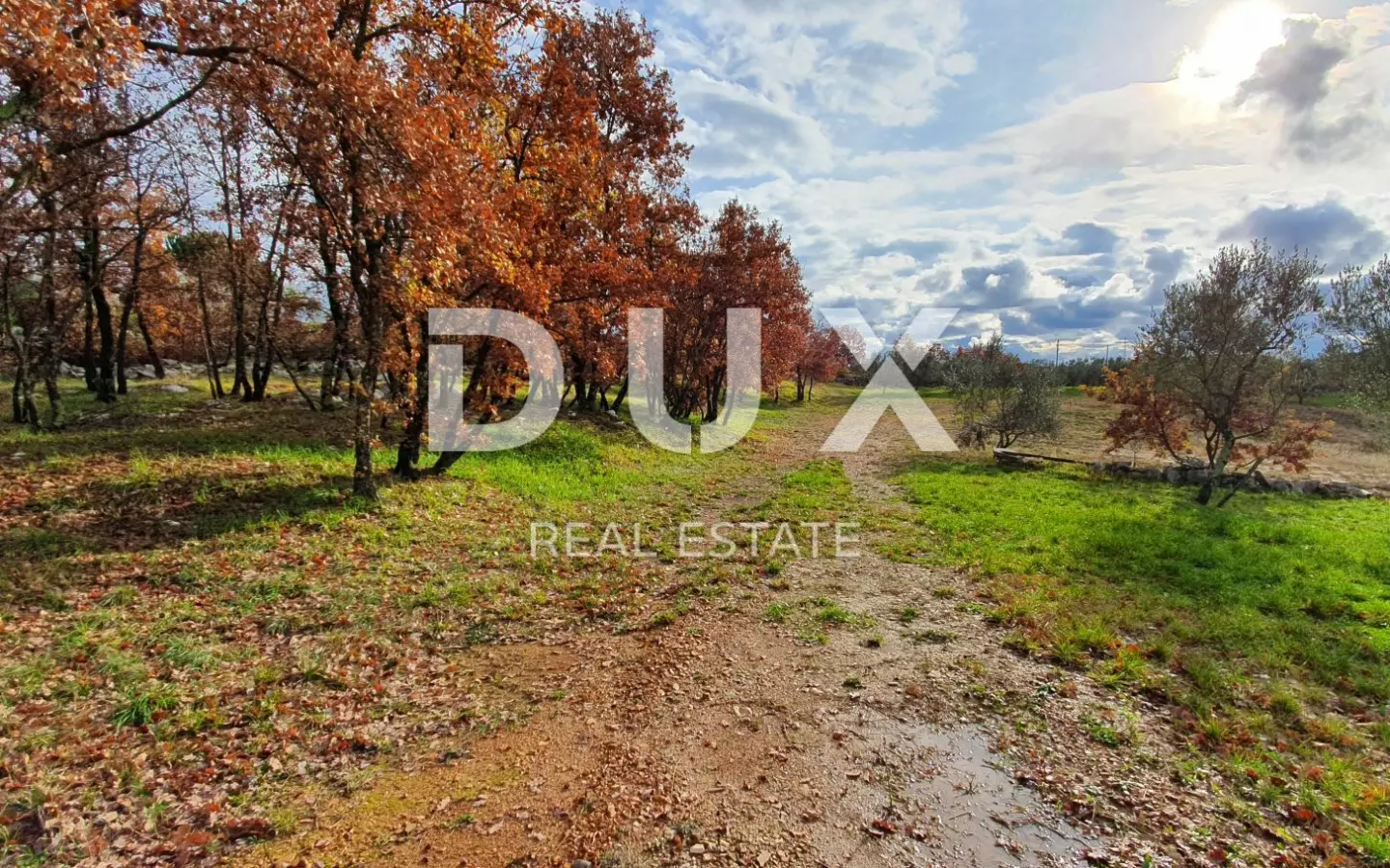 Land In Buje, Croatia (1.494 M²)