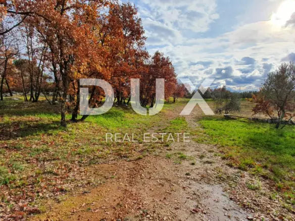 Land In Buje, Croatia (1.494 M²)