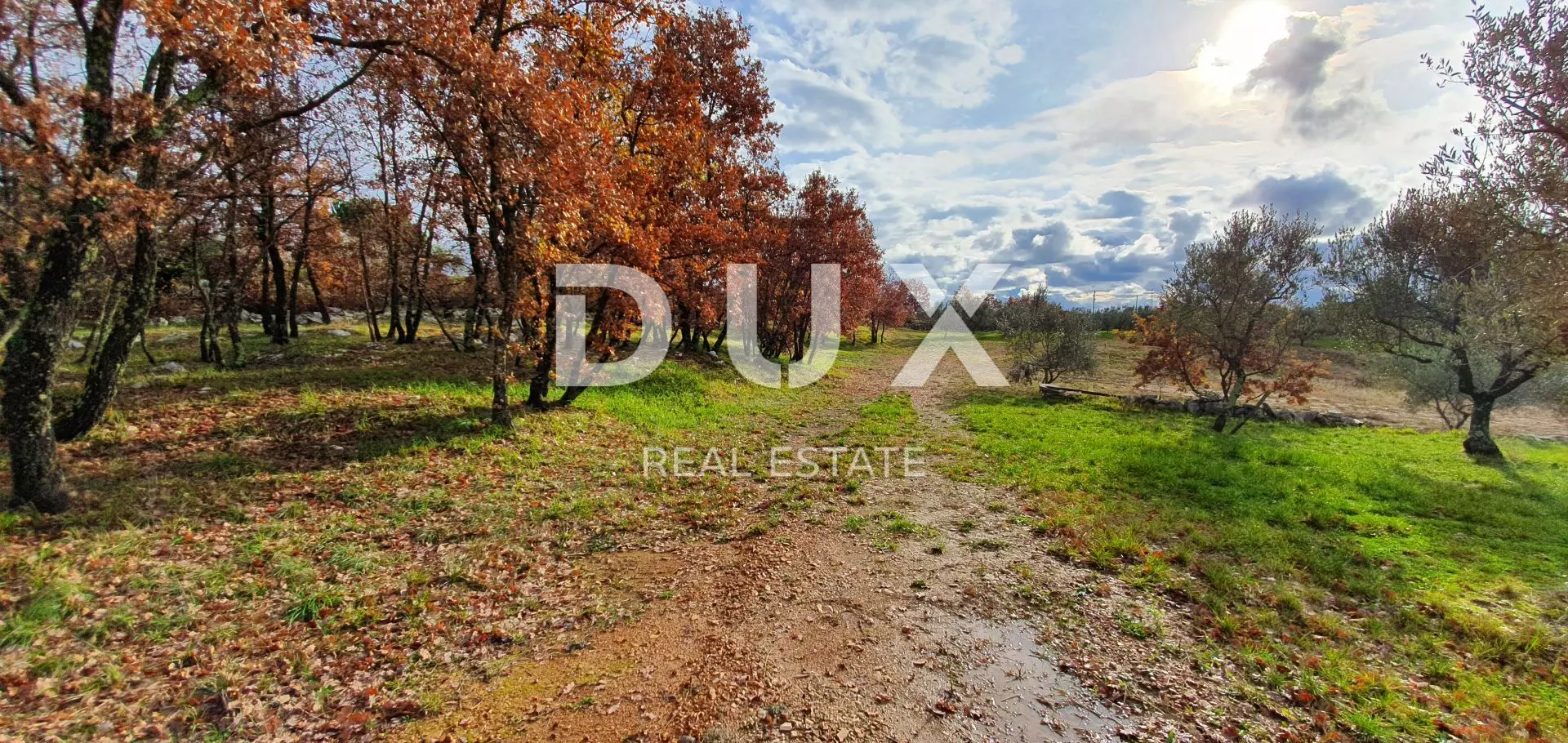 Land In Buje, Croatia (1.494 M²)