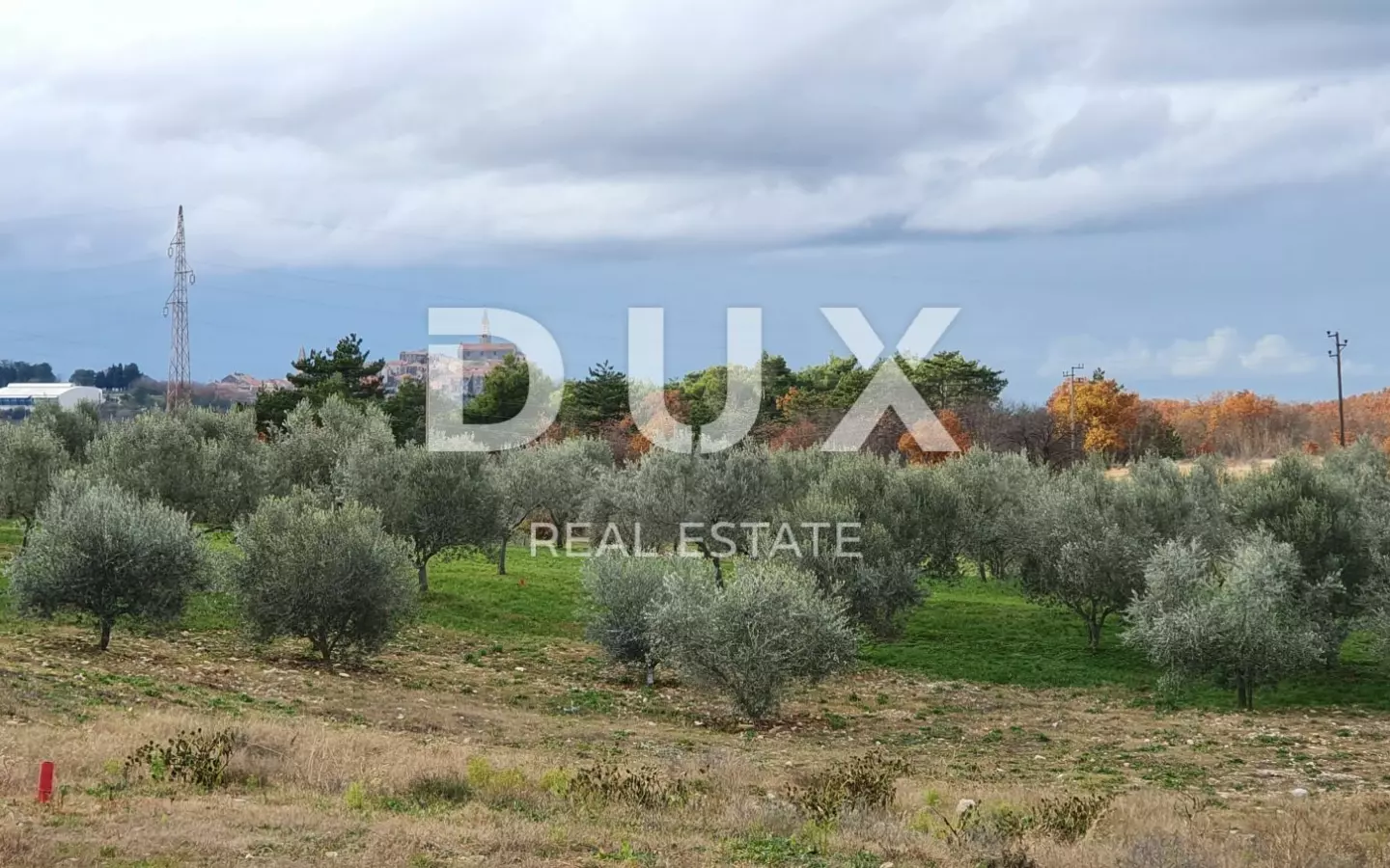 Land In Buje, Croatia (1.423 M²)