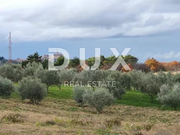 Land In Buje, Croatia (1.423 M²)