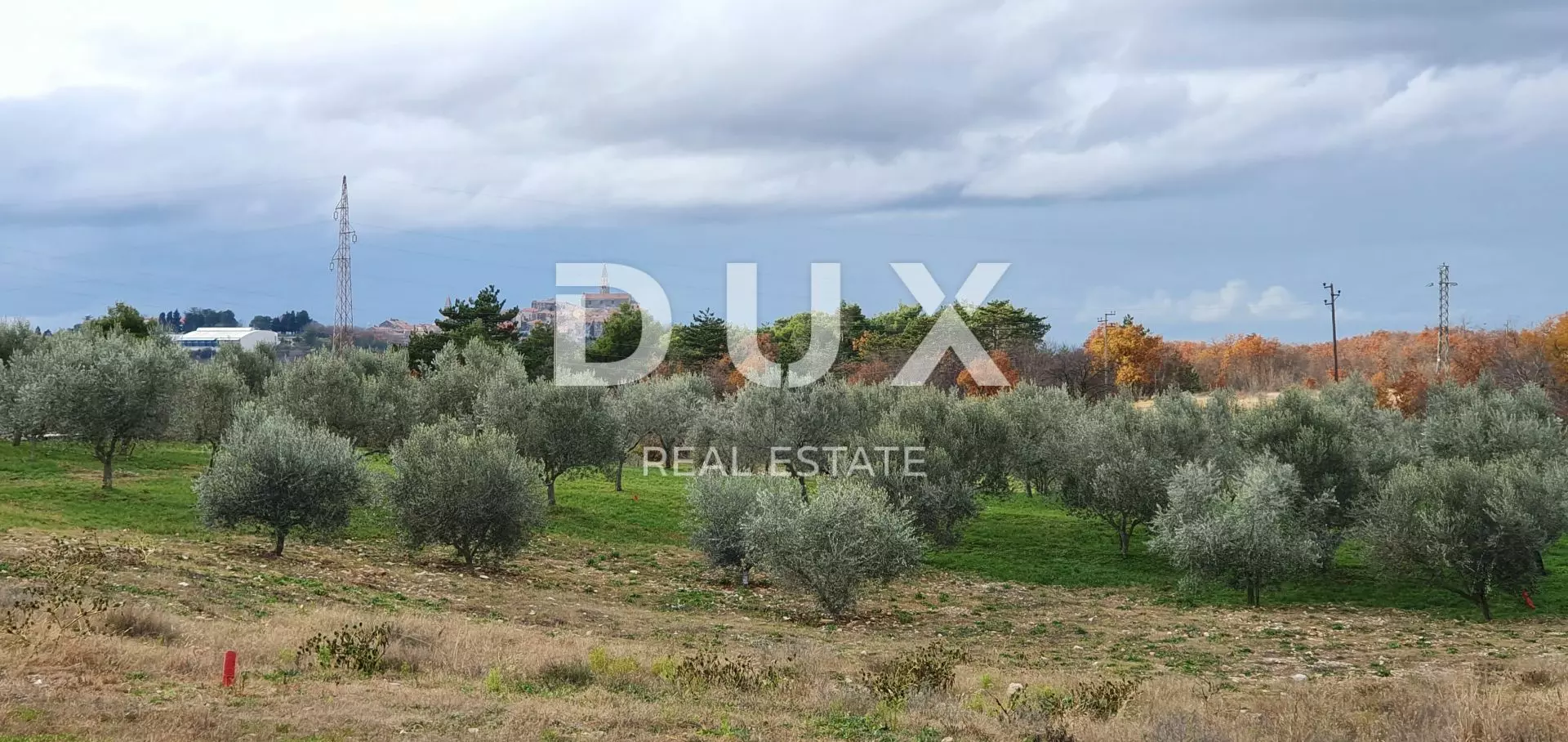 Land In Buje, Croatia (1.423 M²)