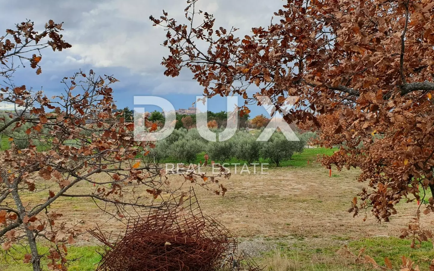 Land In Buje, Croatia (1.423 M²)
