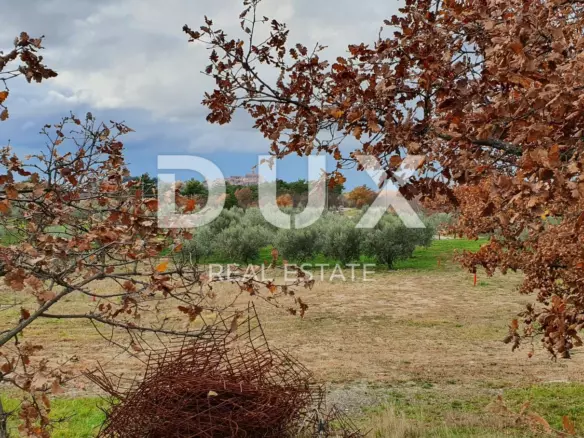 Land In Buje, Croatia (1.423 M²)