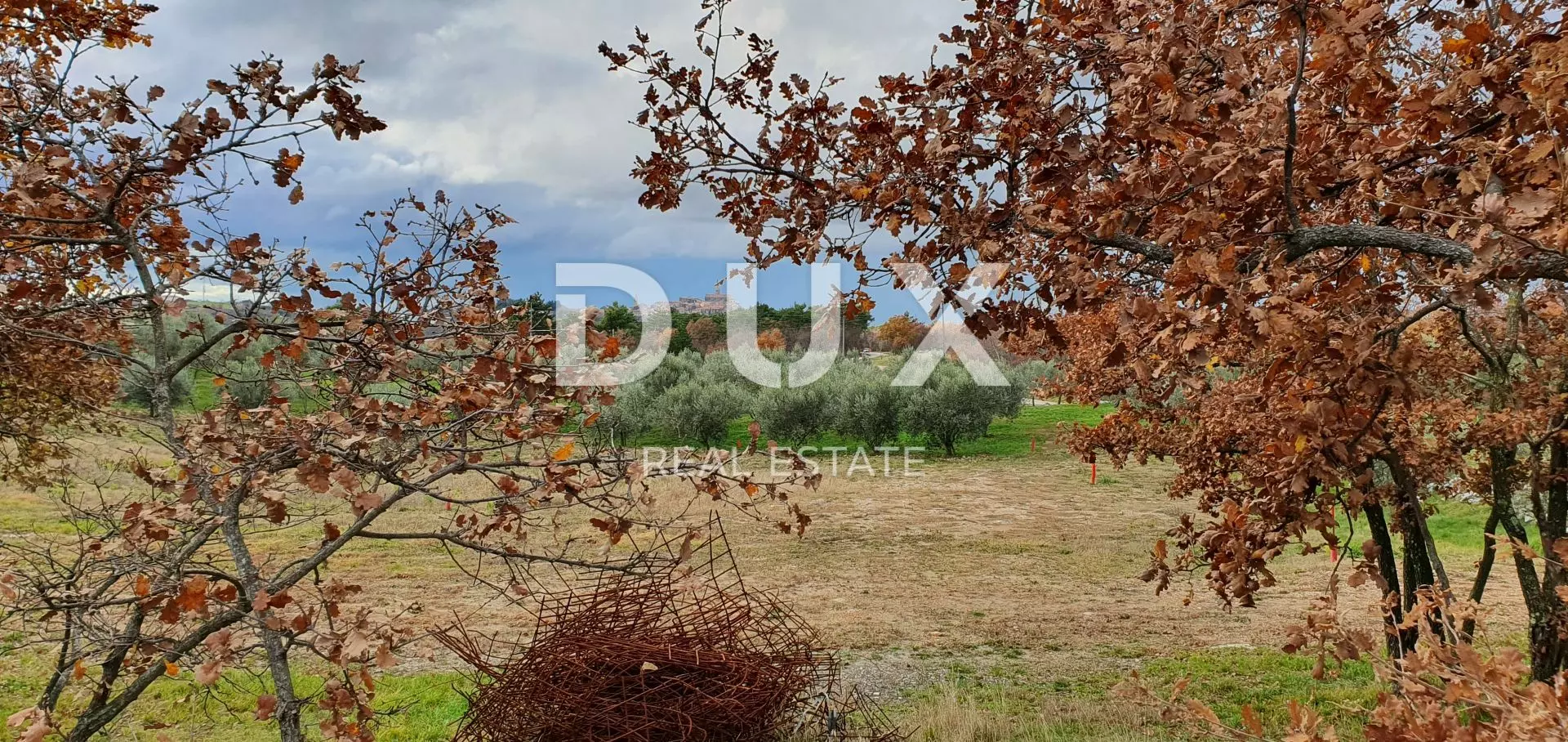 Land In Buje, Croatia (1.423 M²)