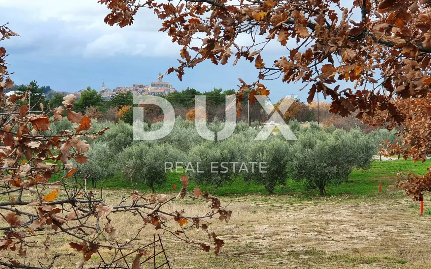 Land In Buje, Croatia (1.423 M²)