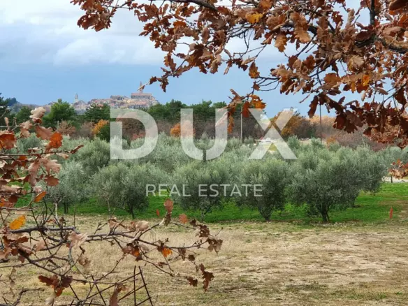 Land In Buje, Croatia (1.423 M²)