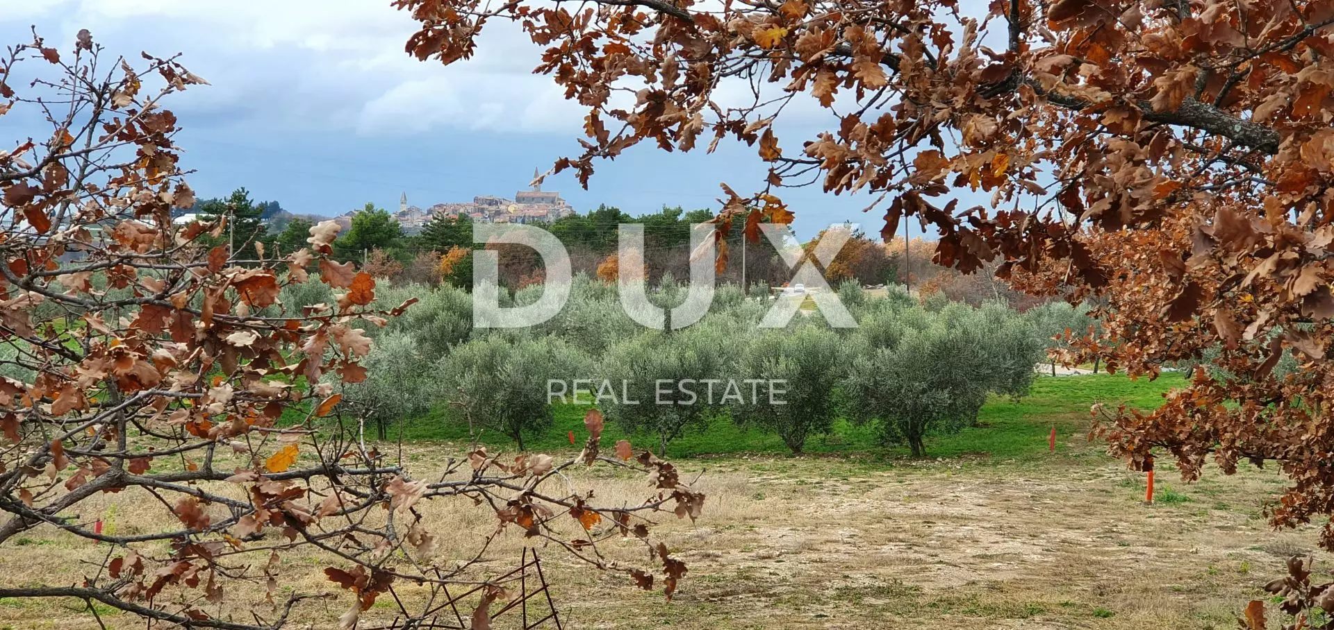 Land In Buje, Croatia (1.423 M²)