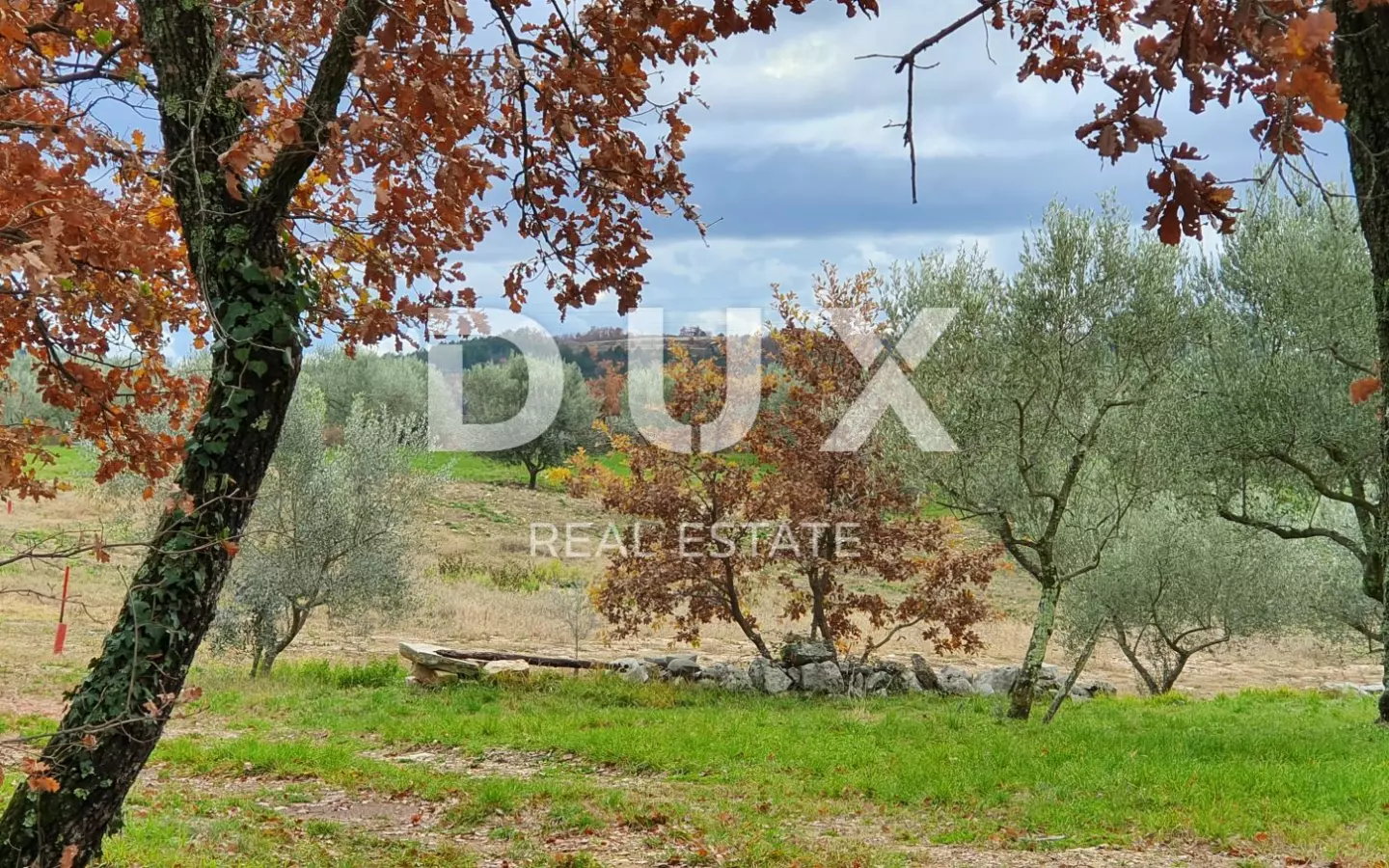 Land In Buje, Croatia (1.423 M²)