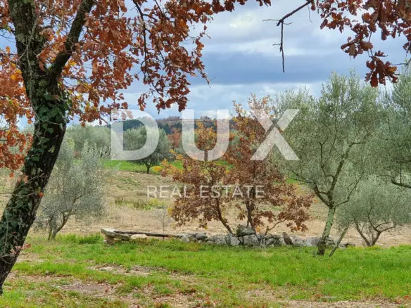Land In Buje, Croatia (1.423 M²)