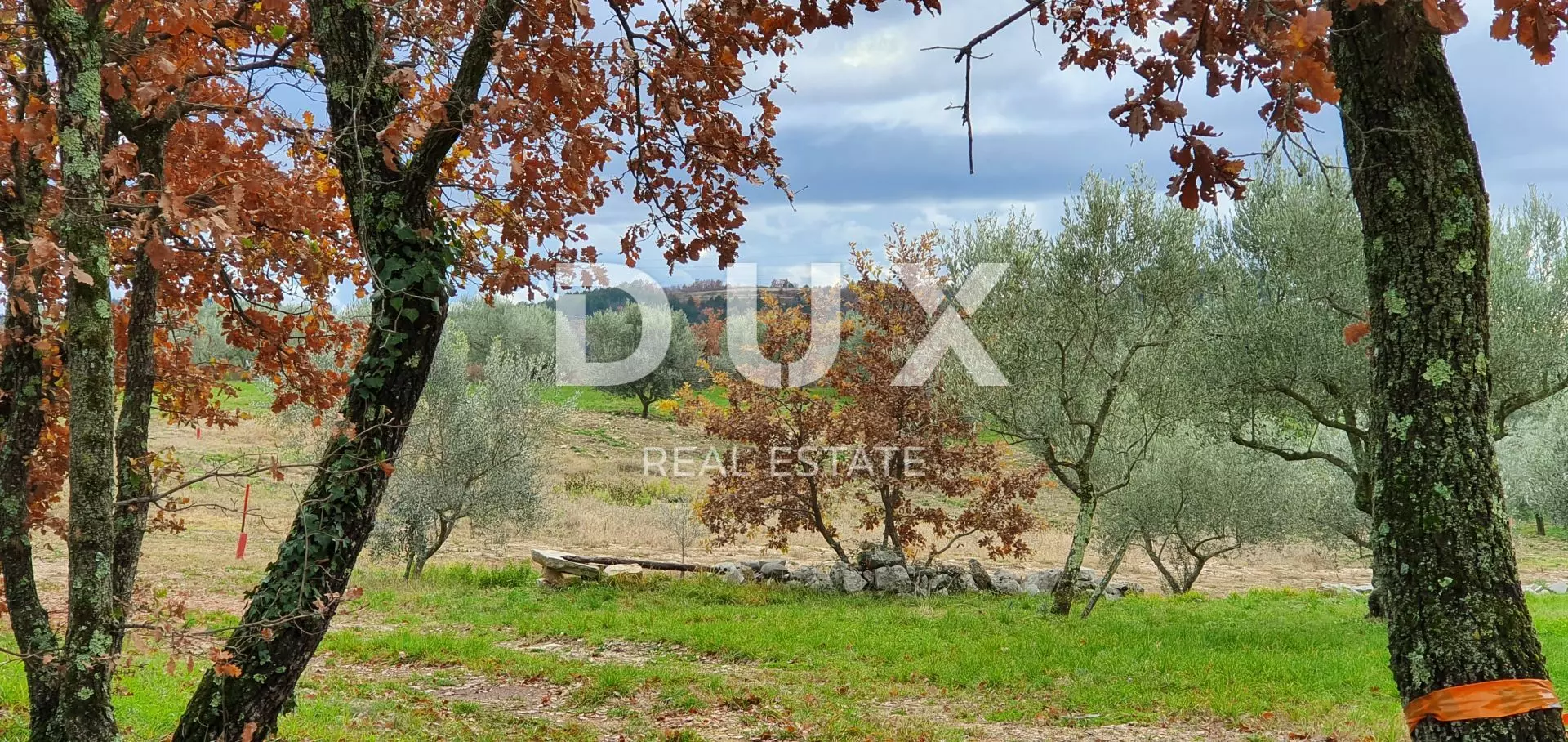 Land In Buje, Croatia (1.423 M²)