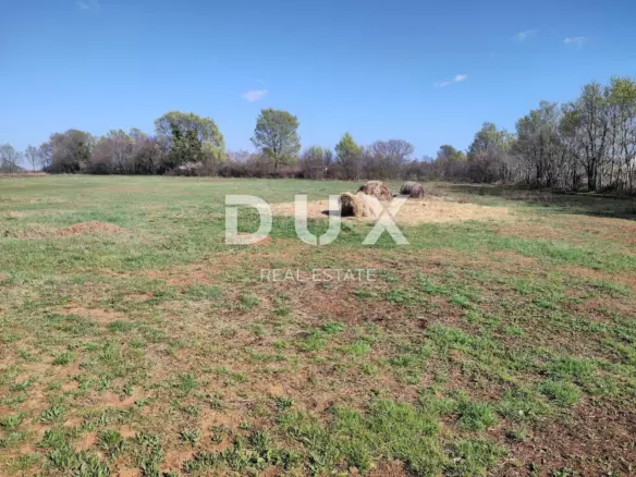 Land In Muntić, Croatia (10.504 M²)